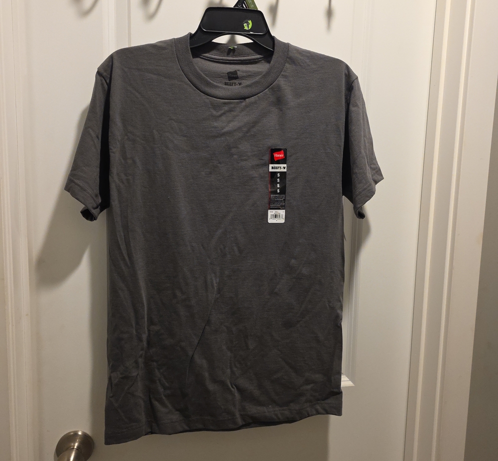 Hanes Men's Crew Neck T-Shirt - Gray